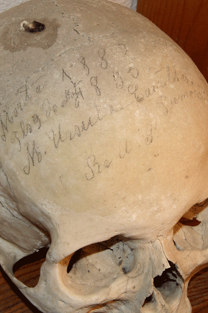 Painted skull in Sevgein